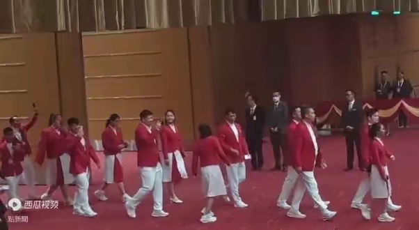 热情洋溢：奥运赛场上的风采何其美丽的简单介绍