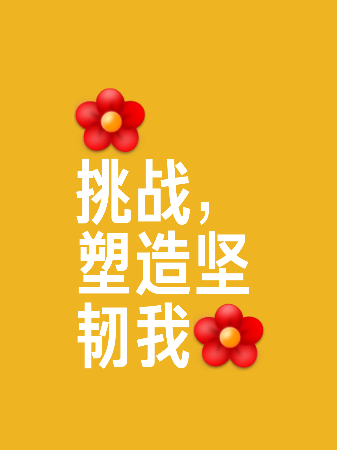 挑战绝非易事，球队拼尽全力，矢志不渝的简单介绍