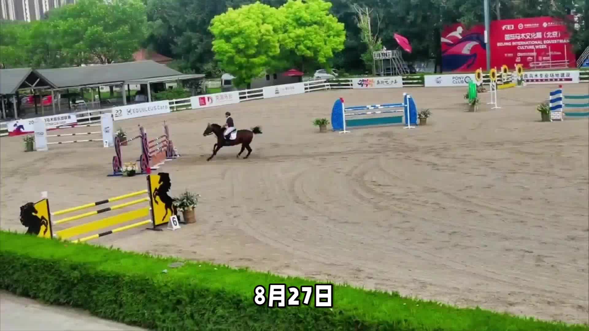 关于顽强拼搏：马术选手斩获第一的信息