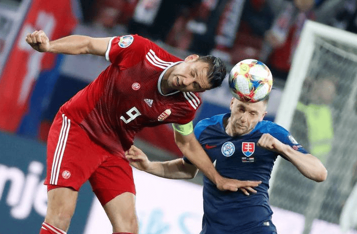 荷兰逆转波黑，顽强争夺欧锦赛出线资格的简单介绍